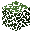 Birch Leaves