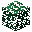Spruce Leaves